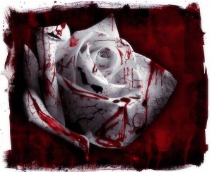 blood_2520rose1